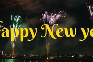 Happy New Year from Test Strip Search