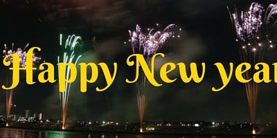 Happy New Year from Test Strip Search Happy New Year from Test Strip Search