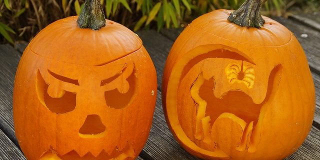 sell test strips Pumpkin carving